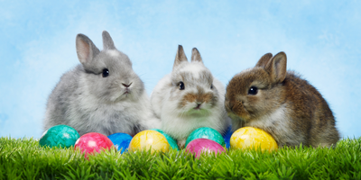 10 Tips to Manage Food Allergies during Easter