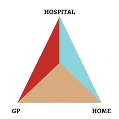 Allergy Contact Triangle