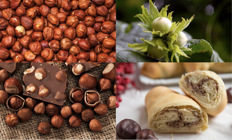 Hazelnut Allergy