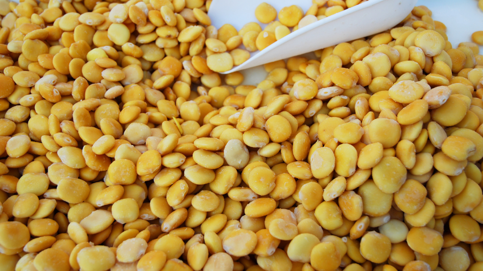 Lupin Allergy